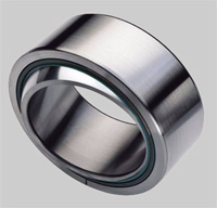 GE...FW-2RS bearing